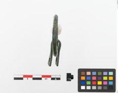 Foto von Bronzegürtelringe (NHMW-PRAE-023669)